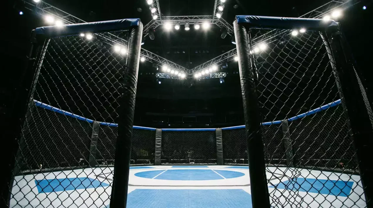 MMA promotions beyond UFC including PFL and regional European organisations available for UK betting