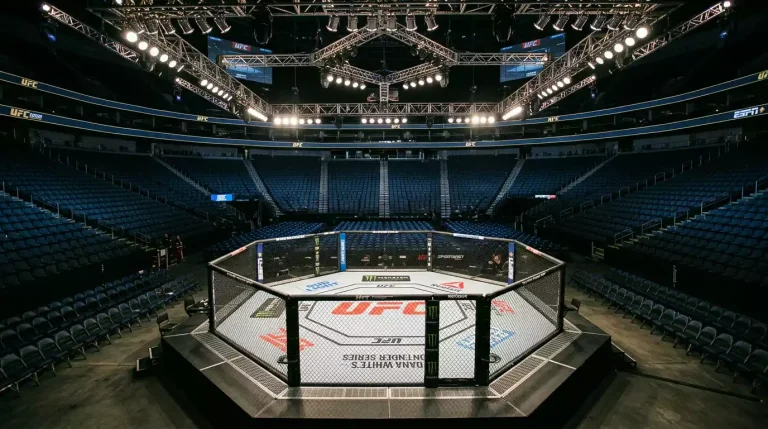 UFC weight class divisions from flyweight to heavyweight with finish rate statistics for betting analysis